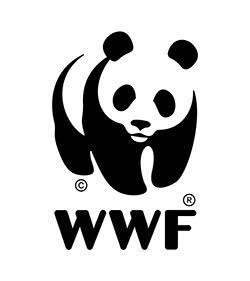 plastic pollution negotiations